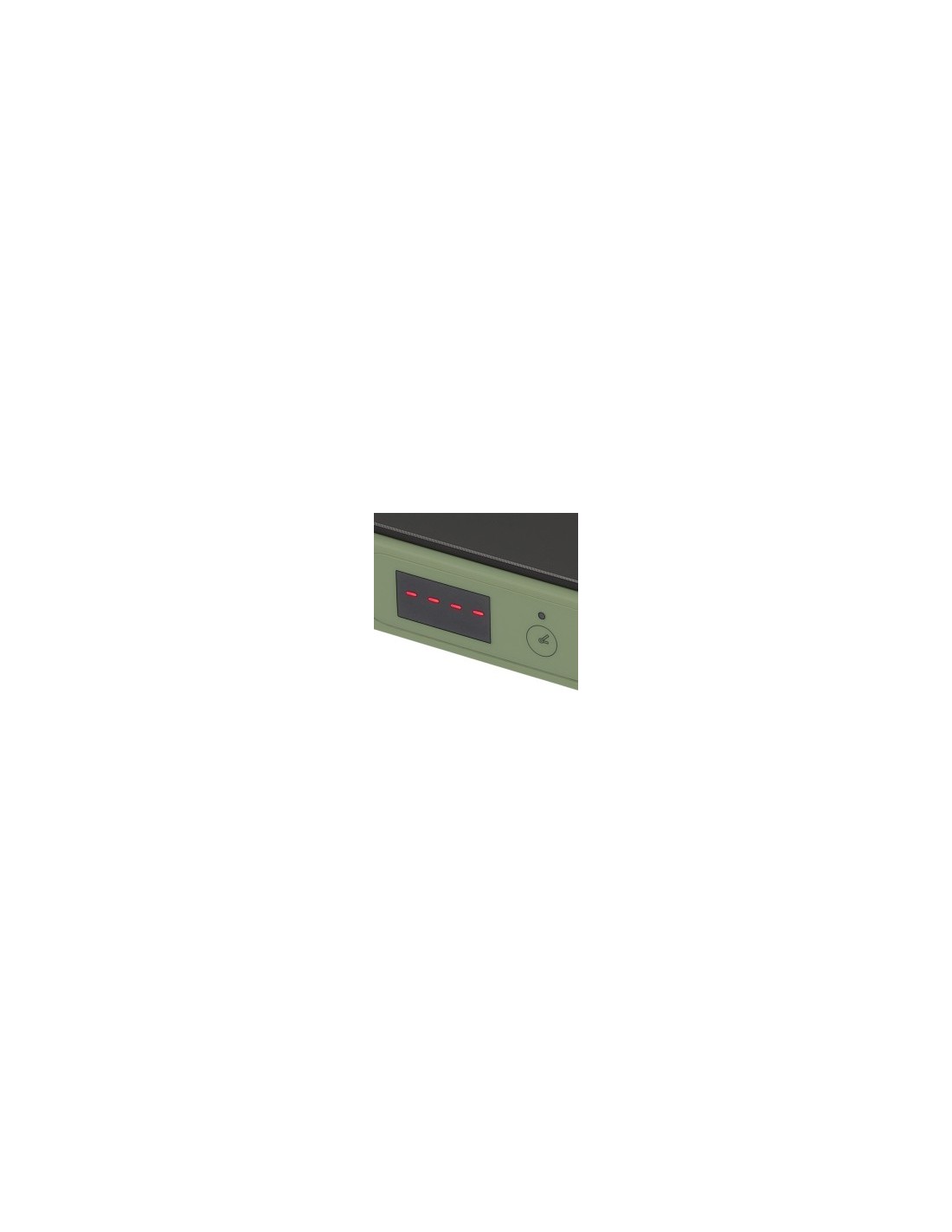 Tognana Iridea Piastra elettrica ad induzione 200-2000W colore verde salvia