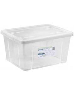 BOX 4321 29L CON COPERCHIO TRASPARENTE su TreG Ingrosso