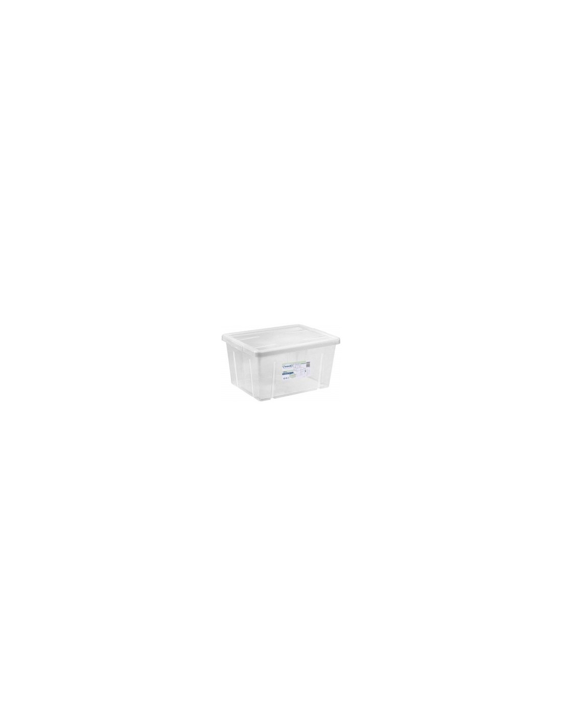 BOX 4321 29L CON COPERCHIO TRASPARENTE su TreG Ingrosso