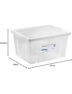 BOX 4321 29L CON COPERCHIO TRASPARENTE su TreG Ingrosso