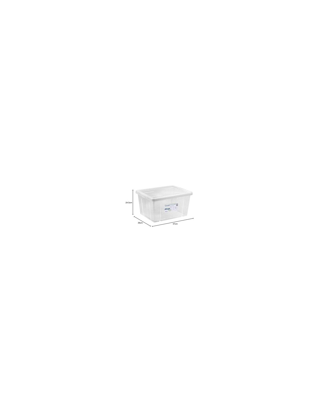 BOX 4321 29L CON COPERCHIO TRASPARENTE su TreG Ingrosso