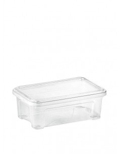 COMBI BOX SCATOLA IN PLASTICA 2,5 LT su TreG Ingrosso