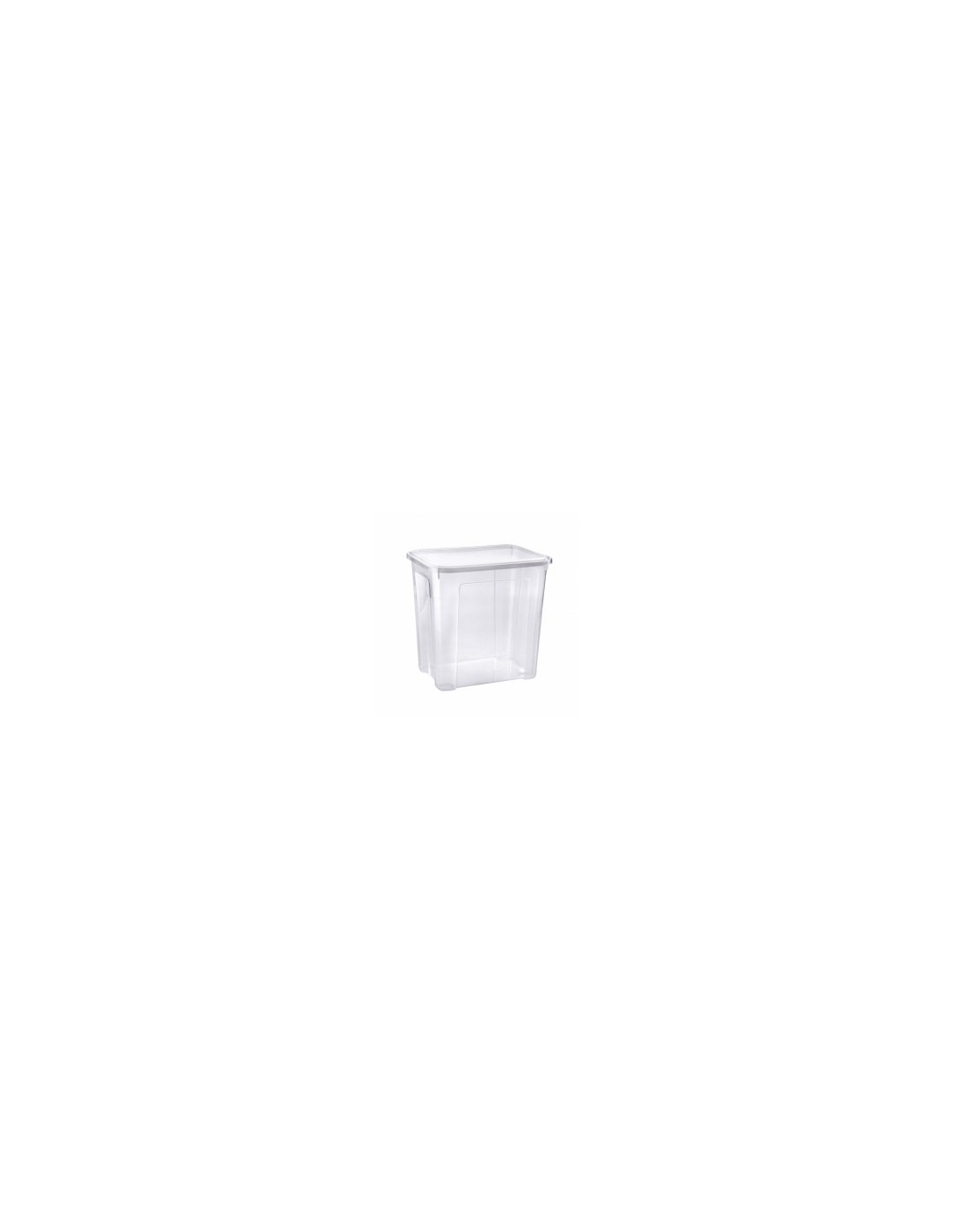 COMBI BOX SCATOLA CON COPERCHIO 30 LT su TreG Ingrosso