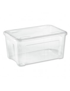 COMBI BOX SCATOLA CON COPERCHIO 43 LT su TreG Ingrosso