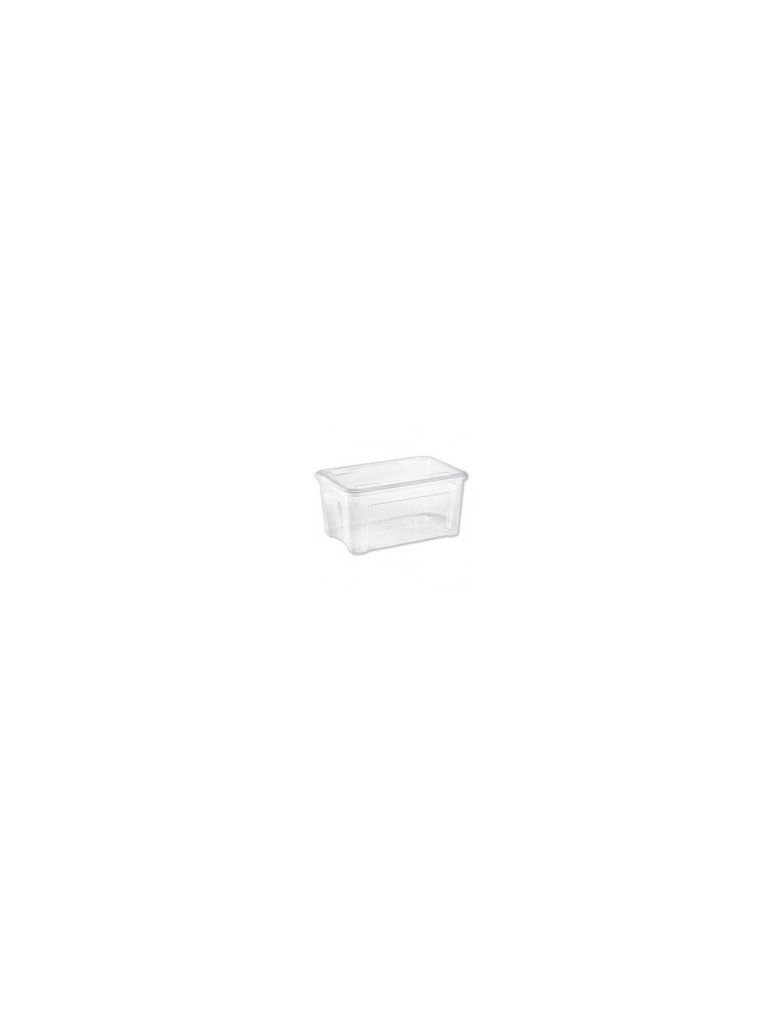 COMBI BOX SCATOLA CON COPERCHIO 43 LT su TreG Ingrosso