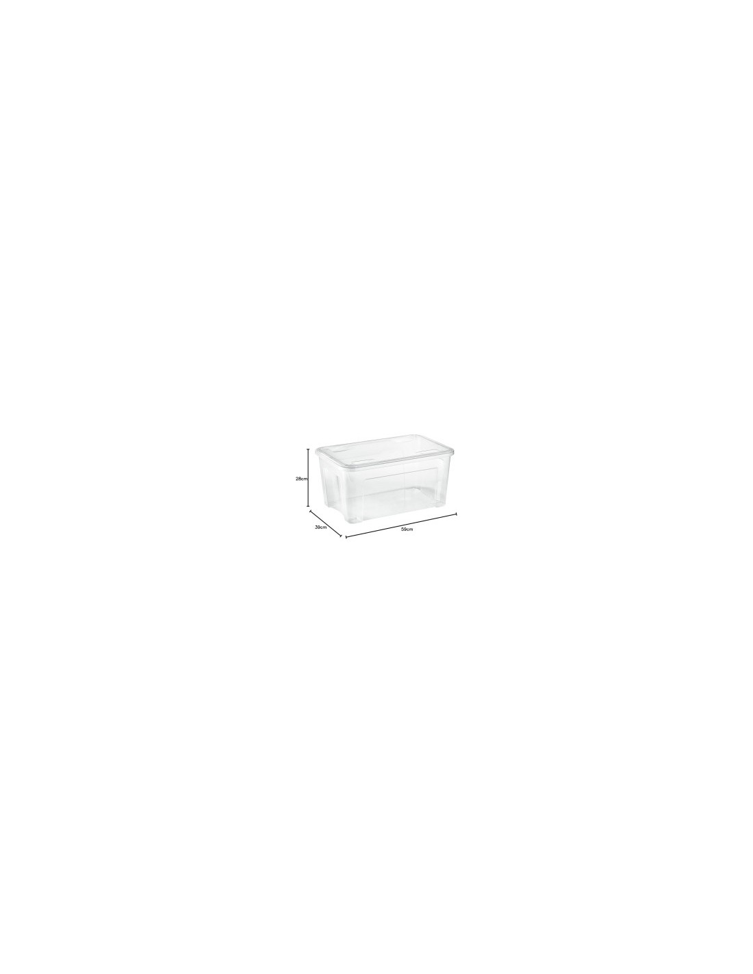 COMBI BOX SCATOLA CON COPERCHIO 43 LT su TreG Ingrosso