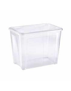 COMBI BOX SCATOLA CON COPERCHIO 67 LT su TreG Ingrosso