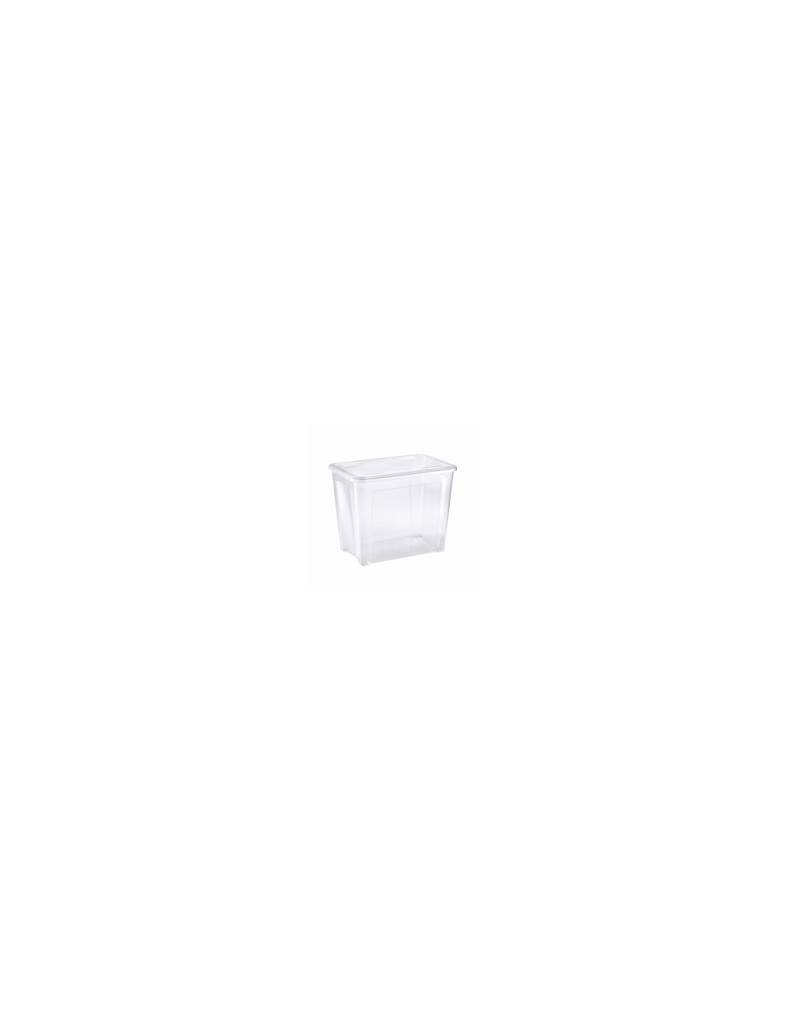 COMBI BOX SCATOLA CON COPERCHIO 67 LT su TreG Ingrosso