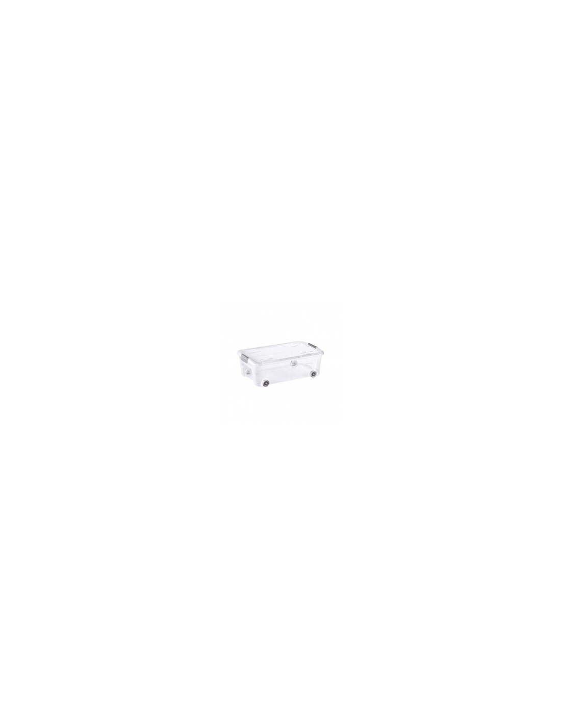 Tontarelli Contenitore Combi Box 59x38x20 cm Multicolore – Pratico e Resistente