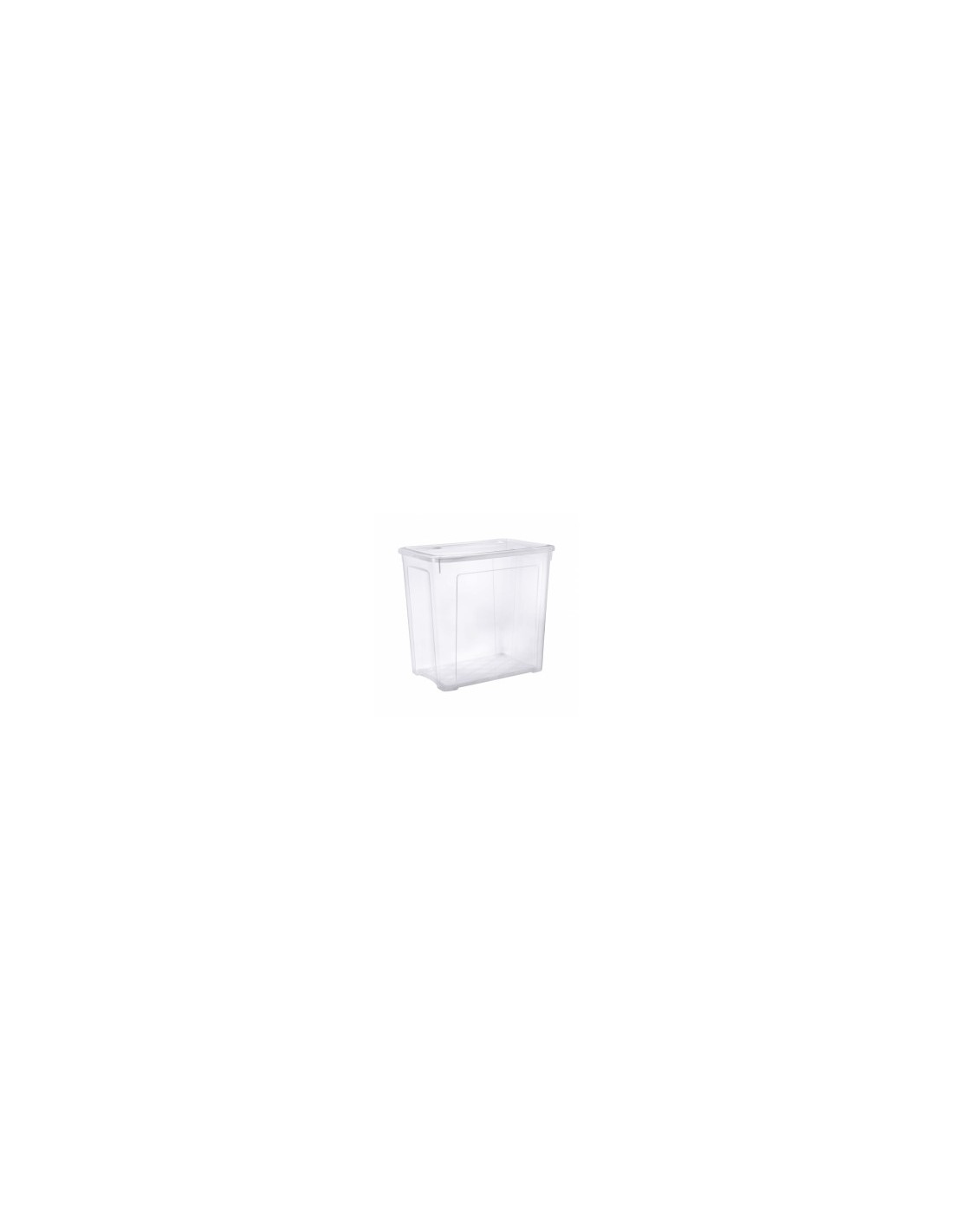COMBI BOX SCATOLA CON COPERCHIO 85 LT su TreG Ingrosso
