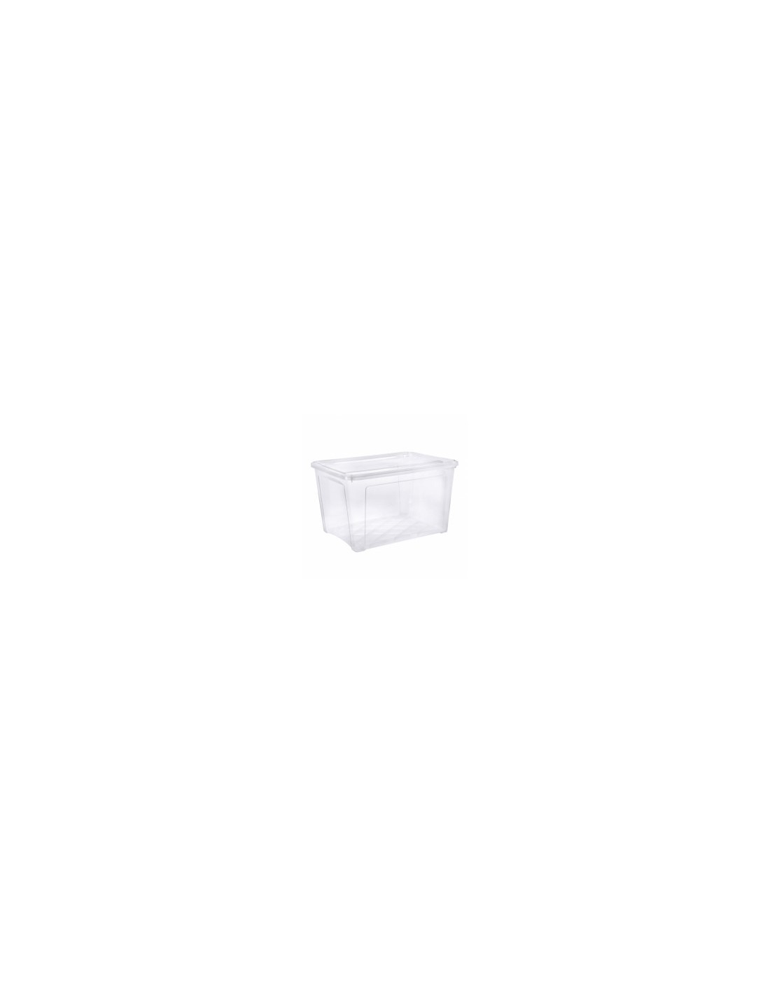 COMBI BOX SCATOLA CON COPERCHIO 145 LT su TreG Ingrosso