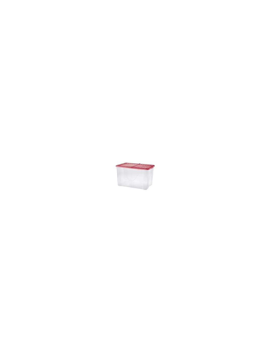Contenitore Dodo 60L in Plastica Trasparente con Coperchio Pieghevole – Colori Assortiti