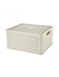 ARIANNA SCATOLA IN PLASTICA 13 LT ASSORTITO TONTARELLI su TreG Ingr...