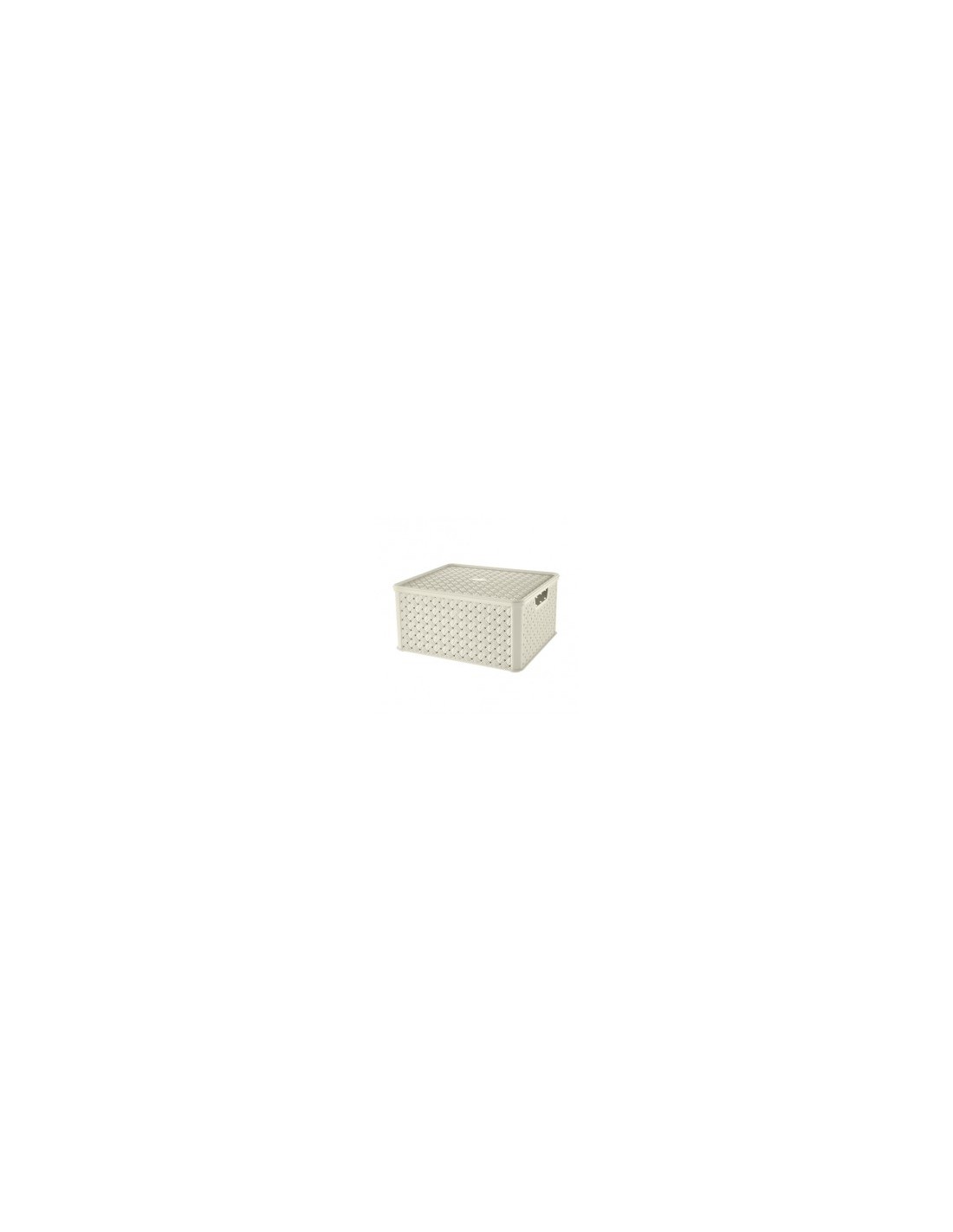 ARIANNA SCATOLA IN PLASTICA 13 LT ASSORTITO TONTARELLI su TreG Ingr...