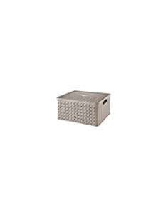 ARIANNA SCATOLA IN PLASTICA 13 LT ASSORTITO TONTARELLI su TreG Ingr...