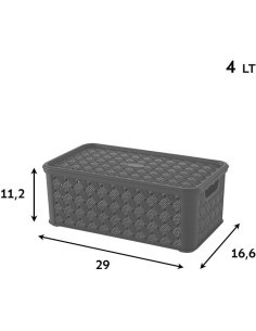 ARIANNA SCATOLA IN PLASTICA 4 LT ASSORTITO TONTARELLI su TreG Ingrosso