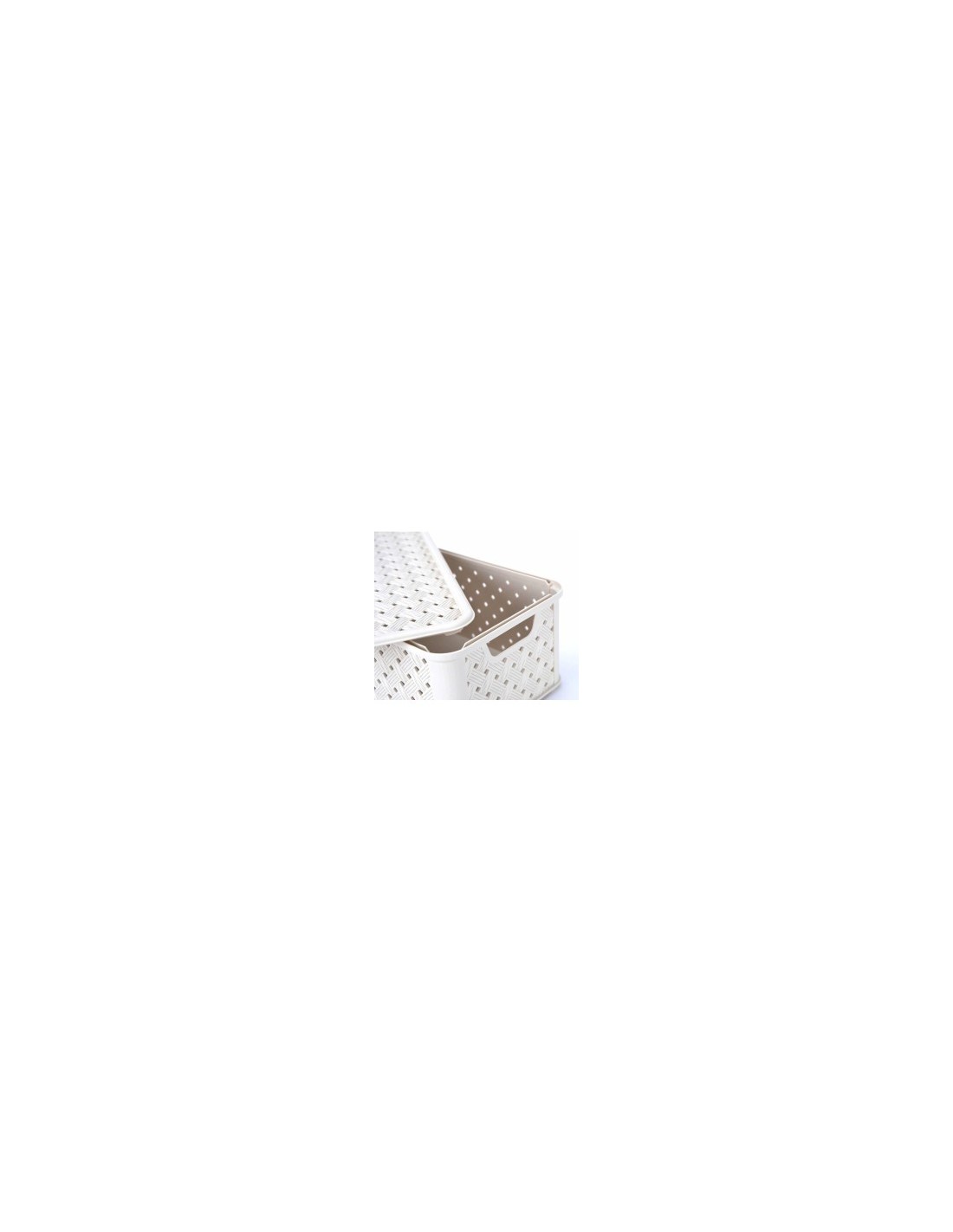 ARIANNA SCATOLA IN PLASTICA 4 LT ASSORTITO TONTARELLI su TreG Ingrosso