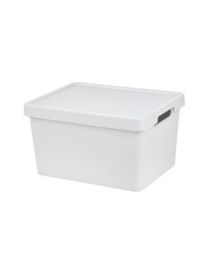 Tontarelli Scatola Portaoggetti Maya con Coperchio, 16,2 L, Colori assortiti