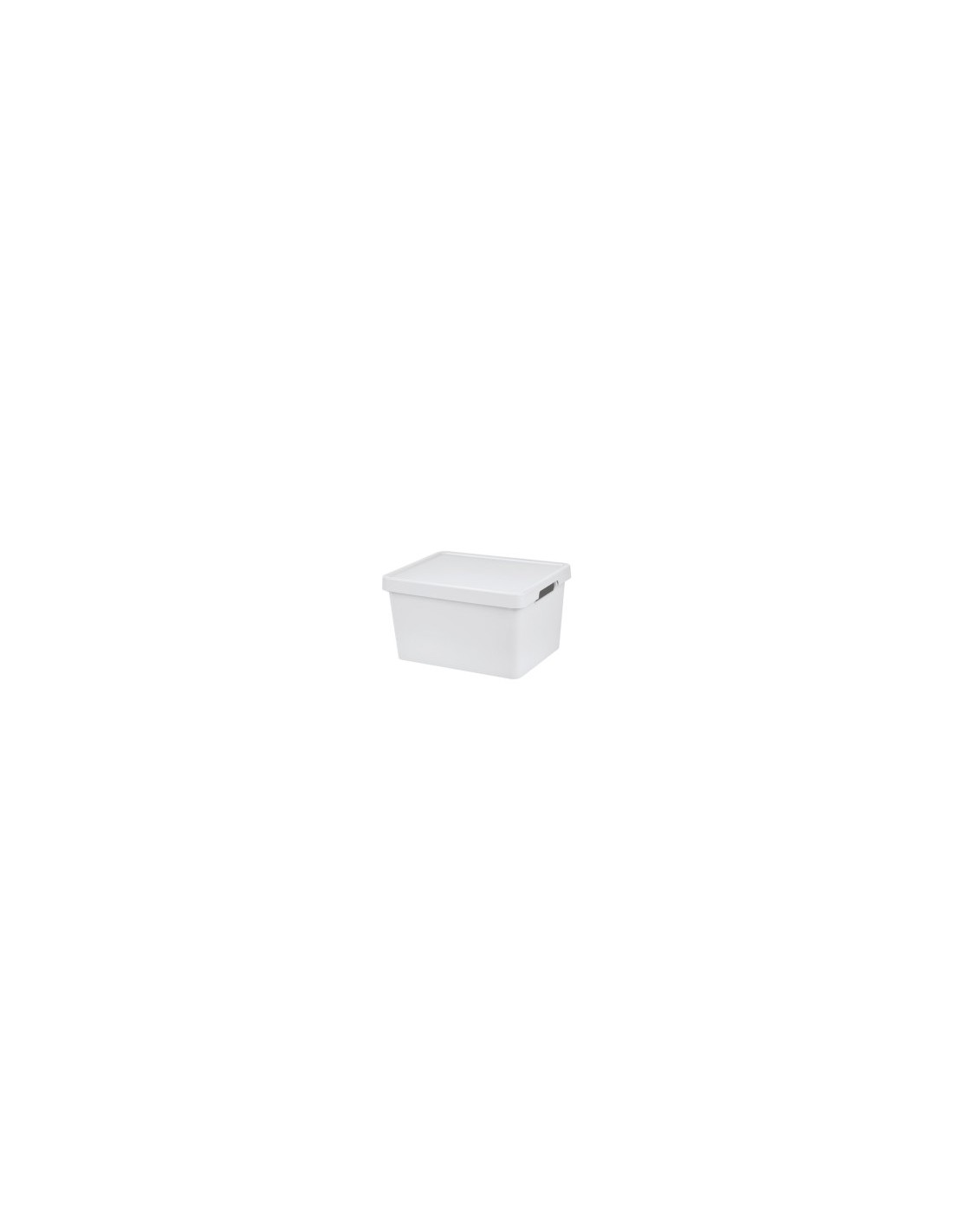 MAYA SCATOLA 4LT 28X18X11CM COLORI ASSORTITI
