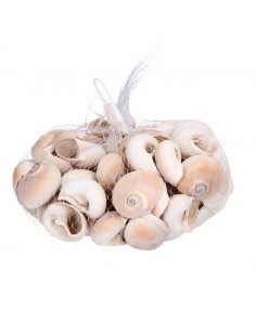 MARE DEC SACCHETTO 511936 CONCHIGLIE su TreG Ingrosso