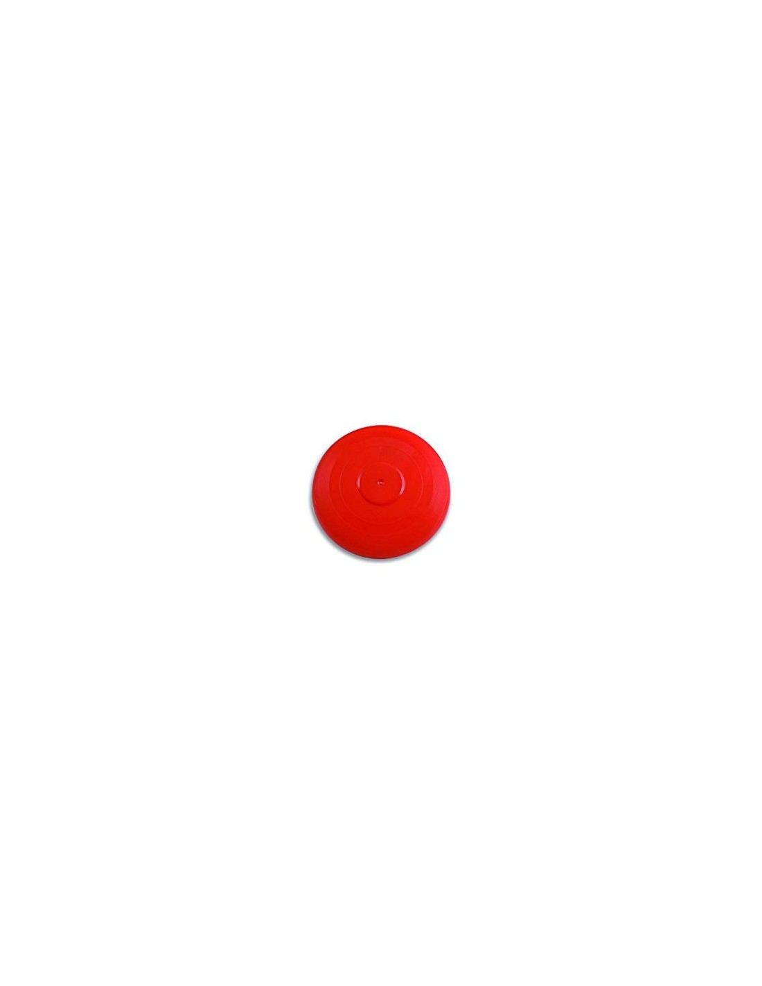 FRISBEE D 27 CM ASSORTITO su TreG Ingrosso