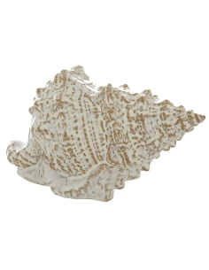 FIGURA CONCHIGLIA 206205 OCEANE CERAMICA 20X10X12CM BIANCO