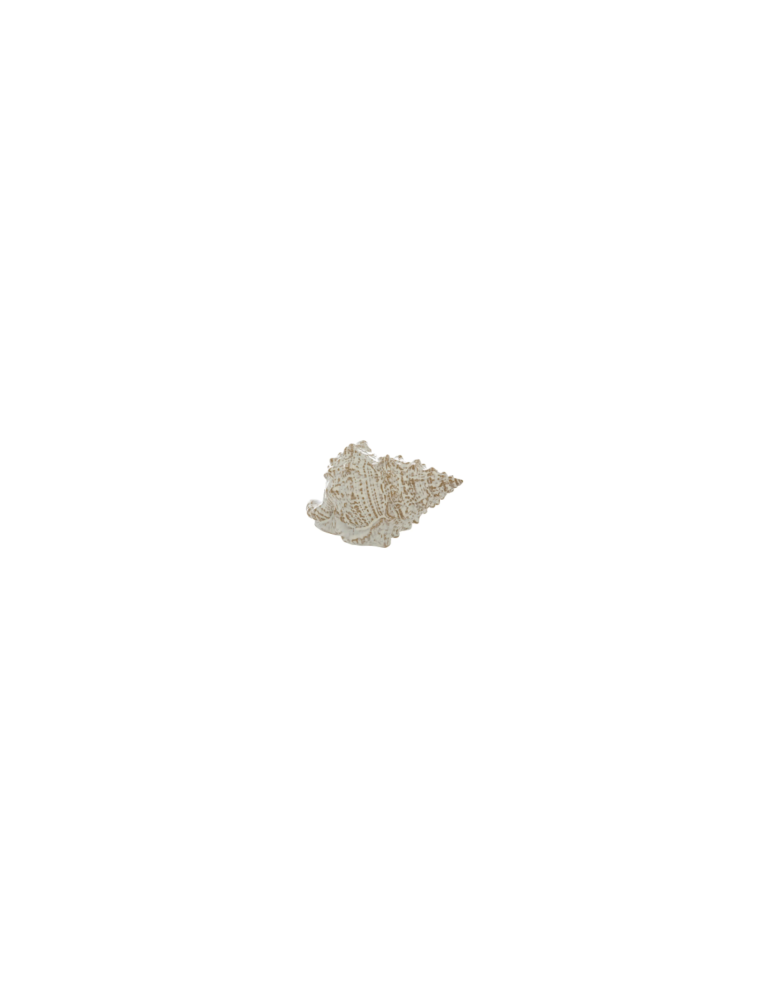 FIGURA CONCHIGLIA 206205 OCEANE CERAMICA 20X10X12CM BIANCO