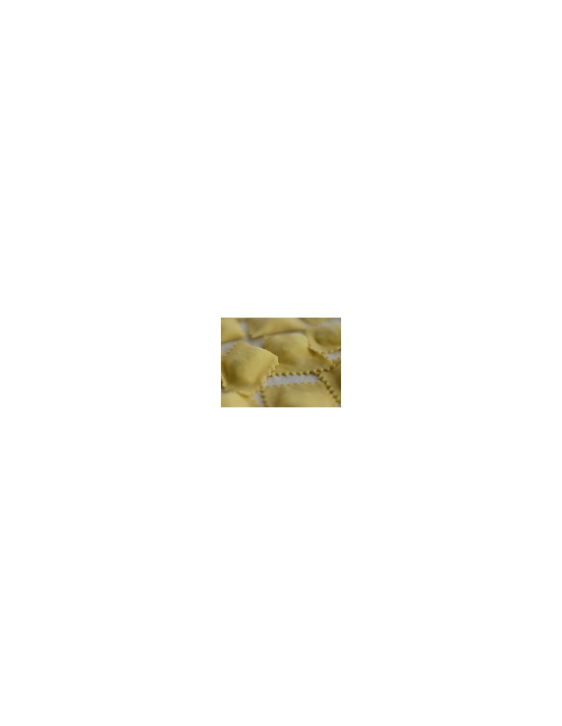 RAVIOLAMP STAMPO PER 44 RAVIOLI IMPERIA su TreG Ingrosso