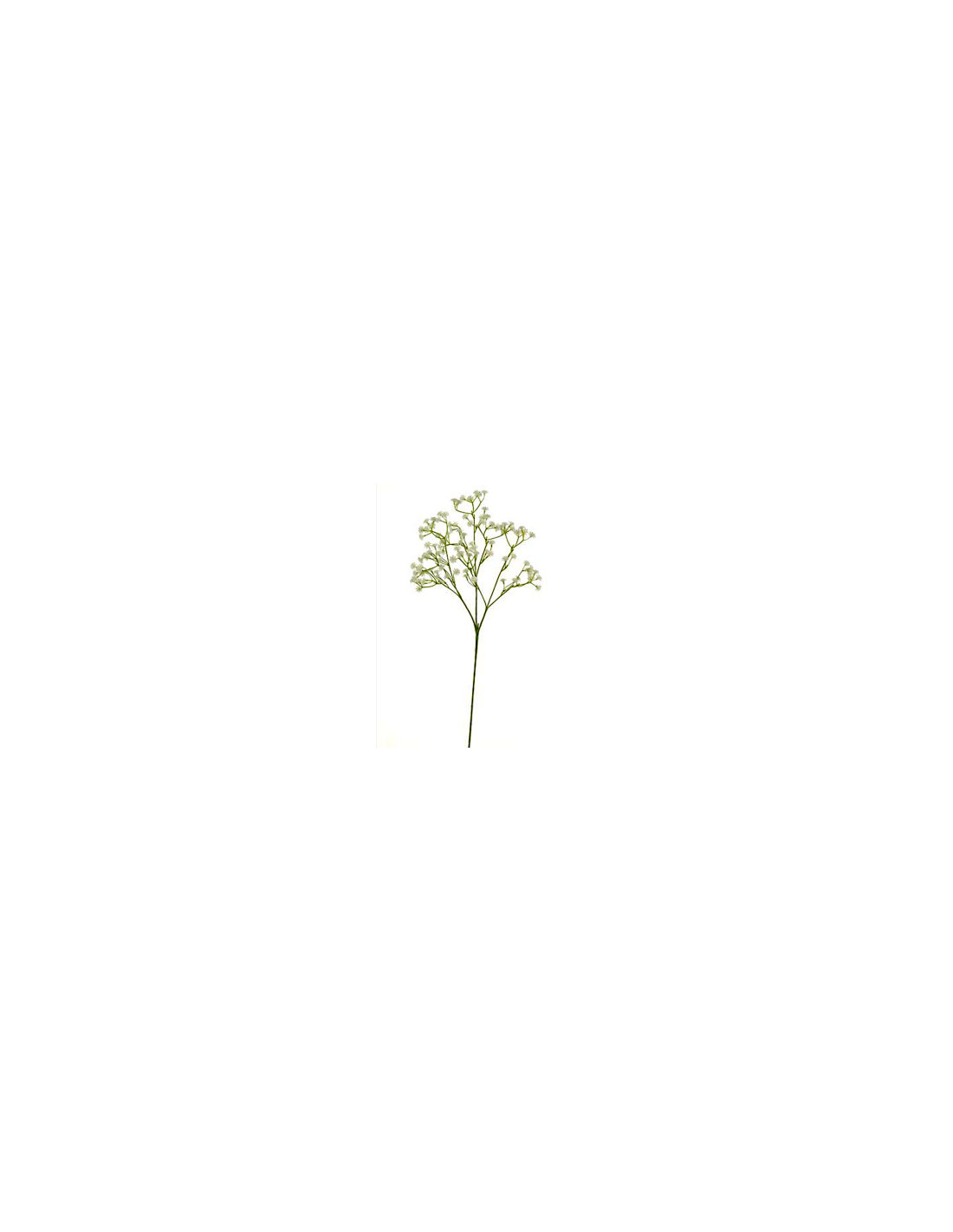 RAMO GYPSO 13640037-36 108FIORI BIANCHI
