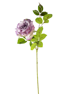 ROSA 18140035-61 70CM LILAC