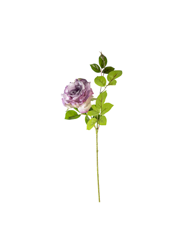ROSA 18140035-61 70CM LILAC