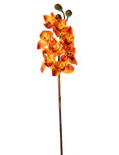 PIANTA 2700303-14 CIMBYDIUM ARANCIO 75CM 8 FIORI