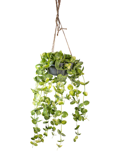 VASO 18250016-01 CON PIANTA 60CM DA APPENDERE