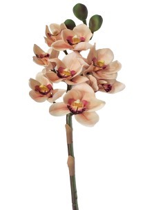 PIANTA 2700303-13 CIMBYDIUM 75CM GIALLO 8 FIORI