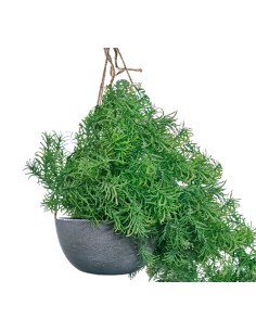 VASO 18250020-01 CON PIANTA 60CM VERDE