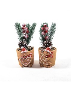 Piantina di Natale H18 cm in vaso ceramica assortito, decorazione festiva elegante, La magia di natale per la tua casa