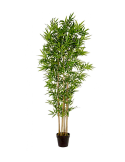 PIANTA 0172386 BAMBOO H185CM CON VASO