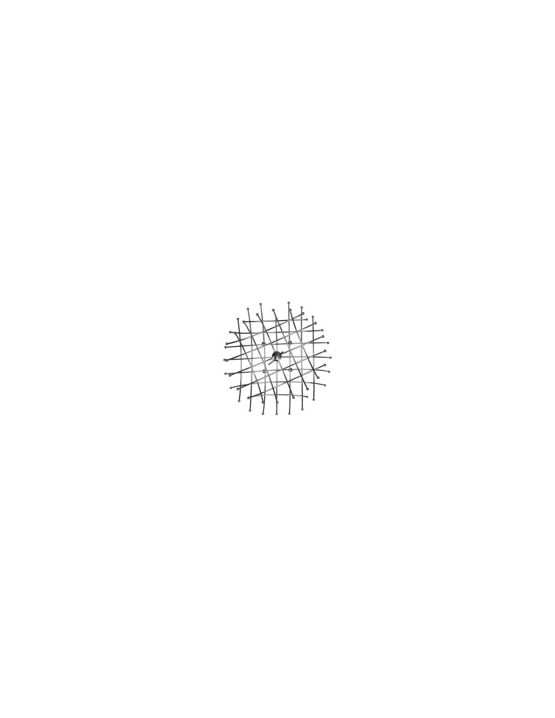 ALZATA 111526 PORTAFRUTTA 2P SILVER su TreG Ingrosso
