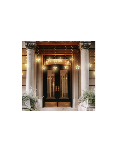 ICE CLUSTER LIGHT 500XH105CM CON 20 STELLE 620 LED BIANCO CALDO Ø5M...