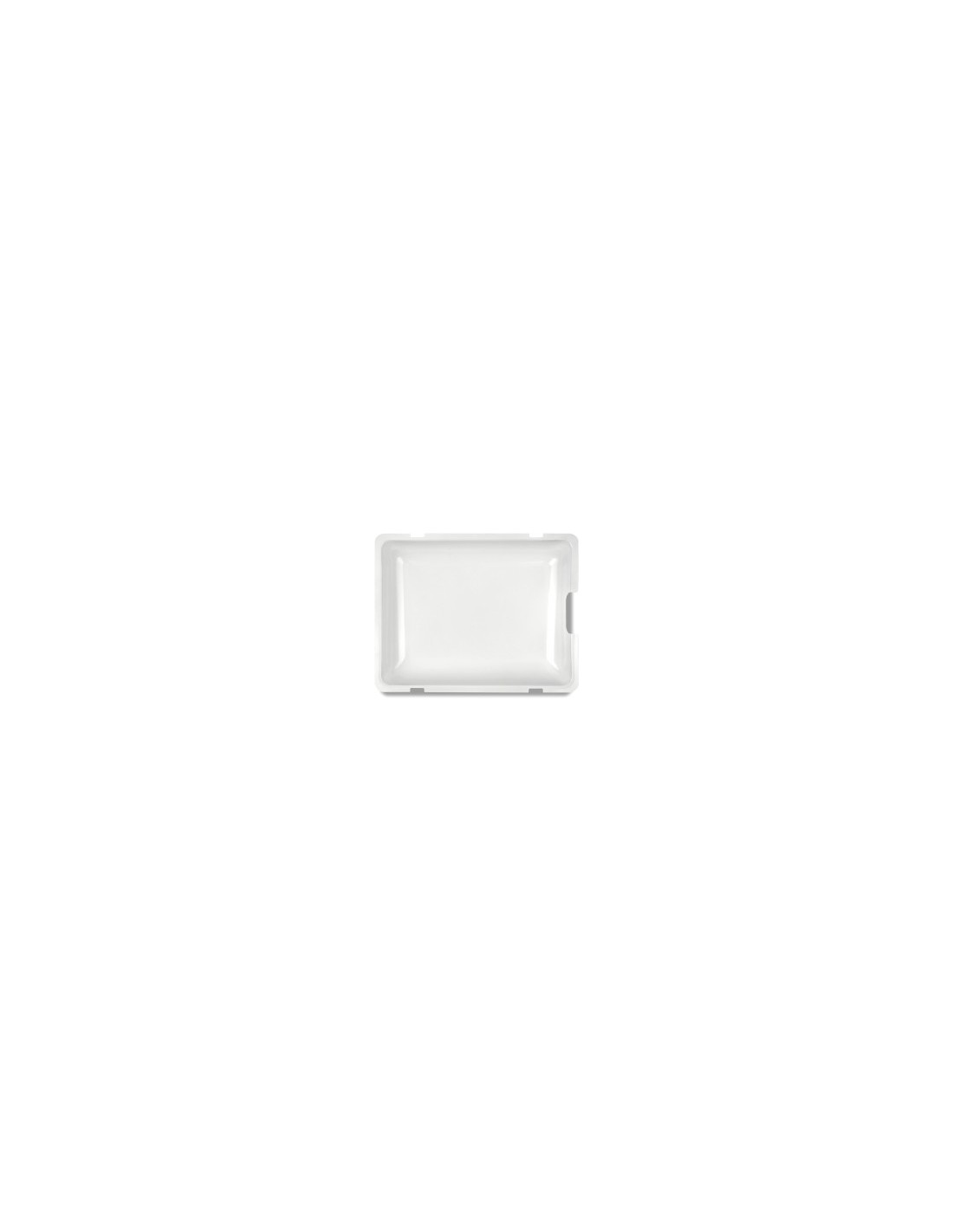 BISTECCHIERA G10024 G3FERRARI su TreG Ingrosso