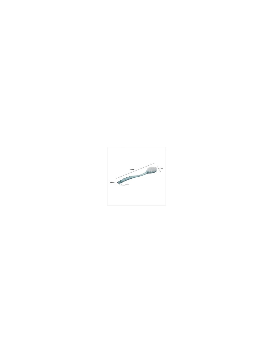 LAVASCHIENA PLASTICA 123510 su TreG Ingrosso