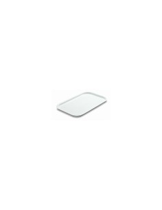 VASSOIO GILLY IN PLASTICA 46 X 30 CM GIGANPLAST su TreG Ingrosso