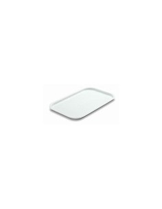 VASSOIO GILLY IN PLASTICA 46 X 30 CM GIGANPLAST su TreG Ingrosso