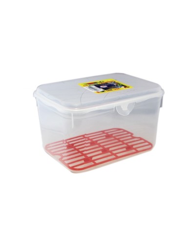 CONT CLICK CLACK 210 Z/G su TreG Ingrosso