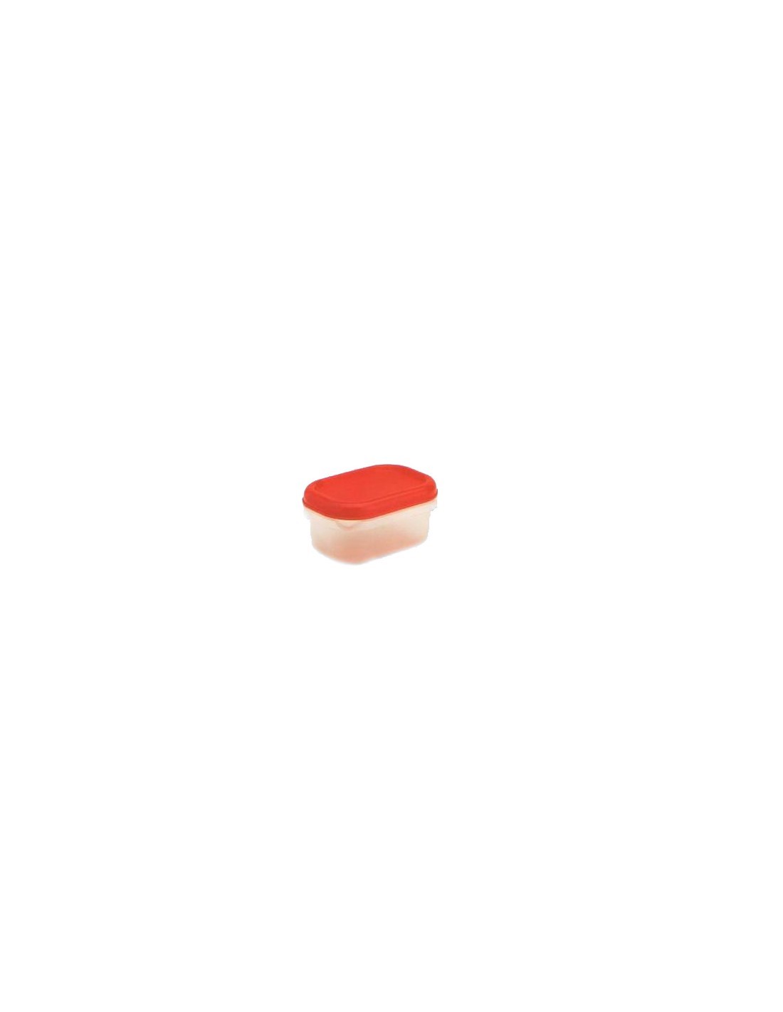 FRIGO BOX RETTANGOLARE BASSA IN PLASTICA 0,5 LEGA su TreG Ingrosso