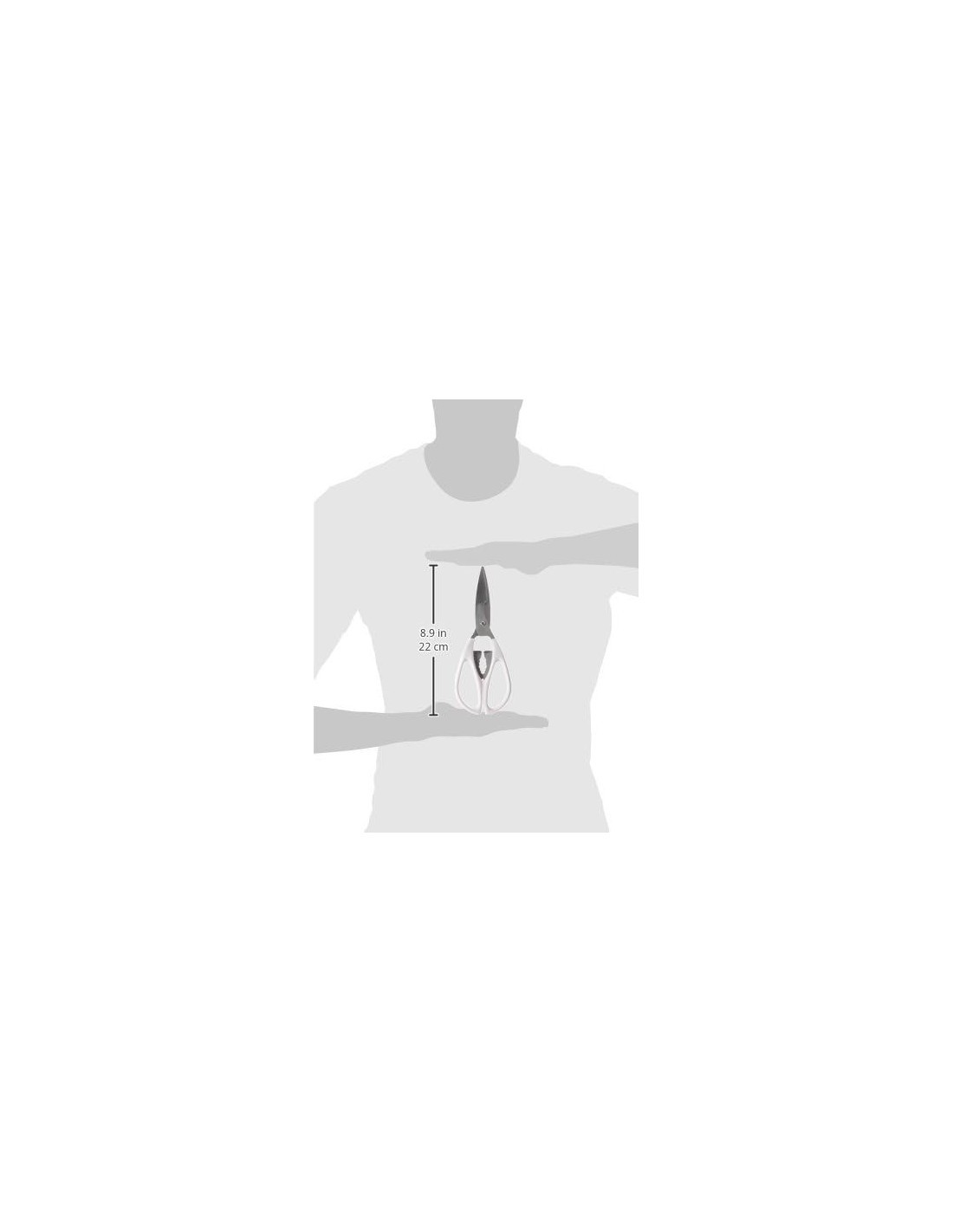 BRICO FORBICI IN ACCIAIO INOX 19,5 CM METALTEX su TreG Ingrosso
