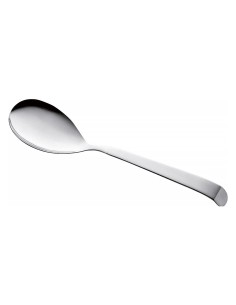 ASTRA CUCCHIAIONE IN ACCIAIO INOX 30 CM PINTINOX su TreG Ingrosso