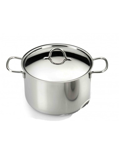 ECOLINE PENTOLA IN ACCIAIO INOX 2 MANICI 20 CM PINTINOX su TreG Ing...