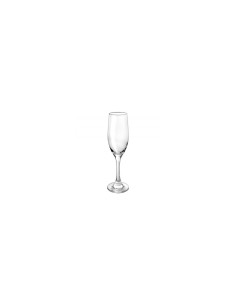 DUCALE CALICE FLUTE 17 CL H 22CM BORGONOVO su TreG Ingrosso 2