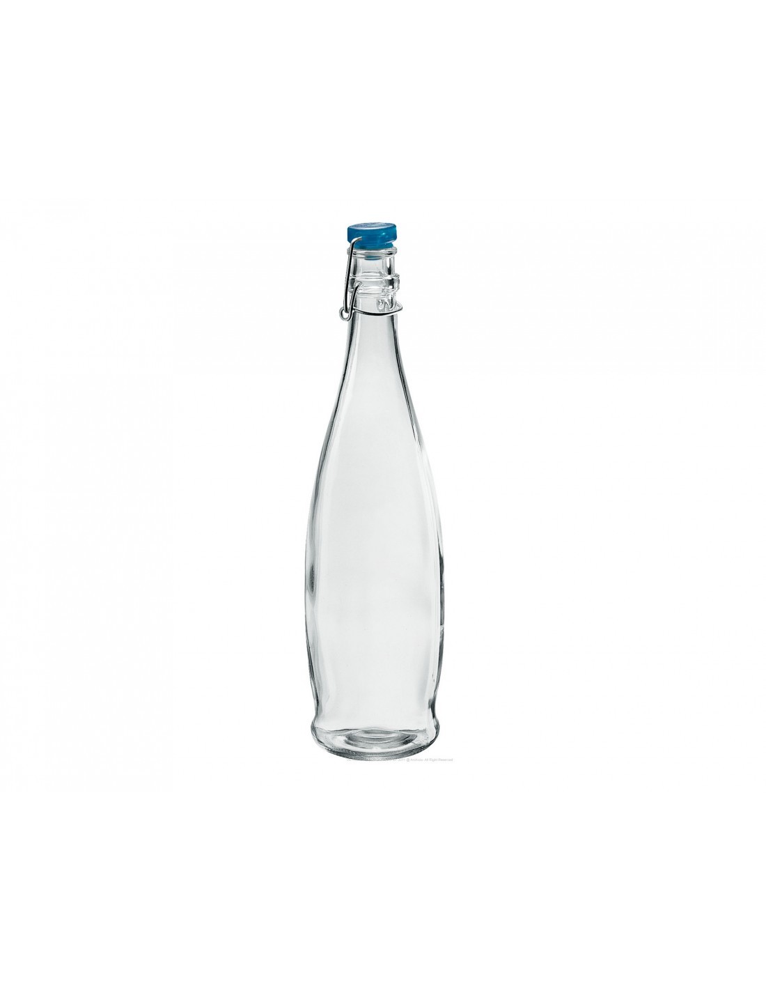INDRO BOTTIGLIA 1 LT CON TAPPO ERMETICO BORGONOVO su TreG Ingrosso